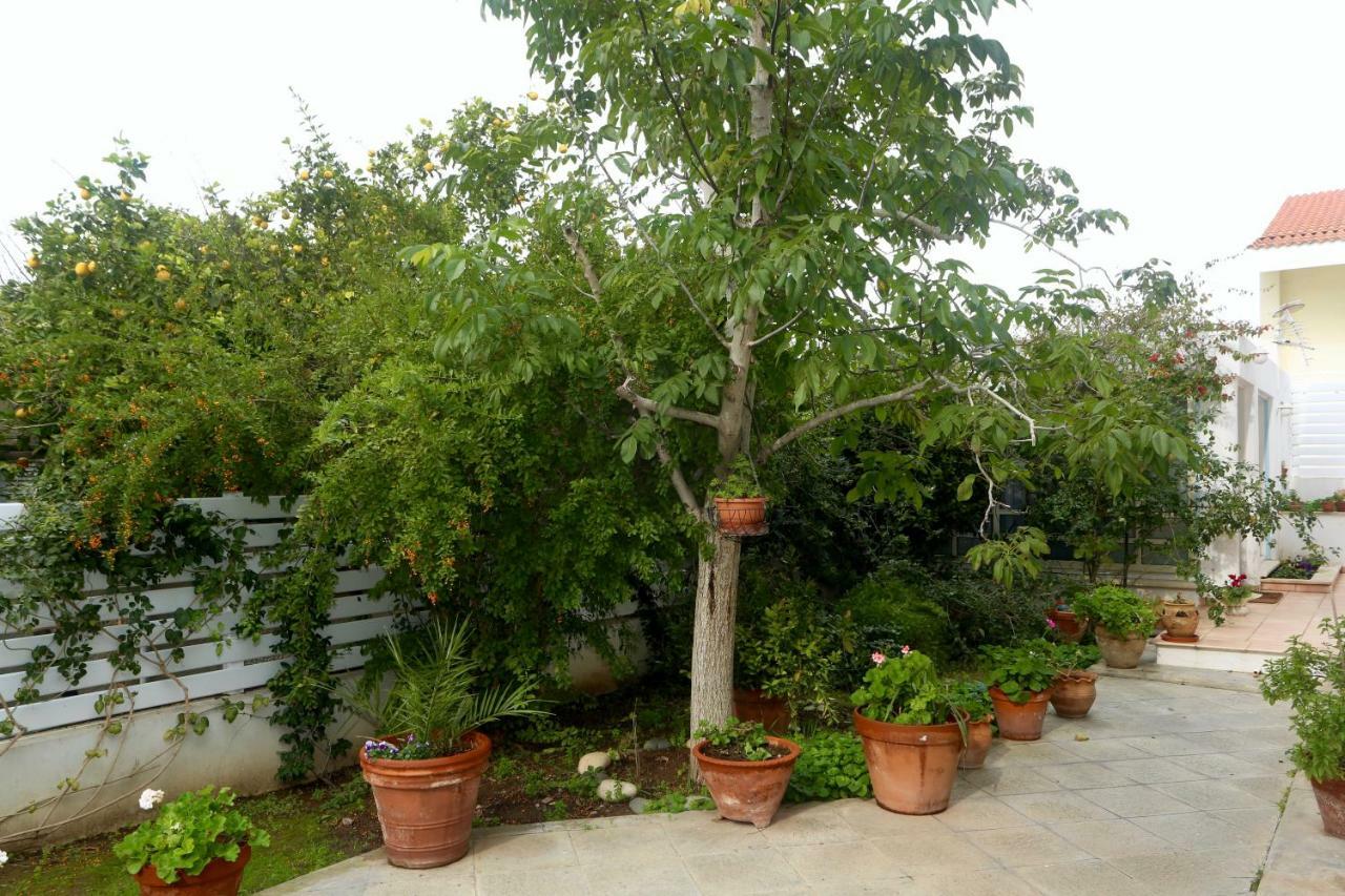 فندق نيقوسيافي  Sunny Garden Studio المظهر الخارجي الصورة