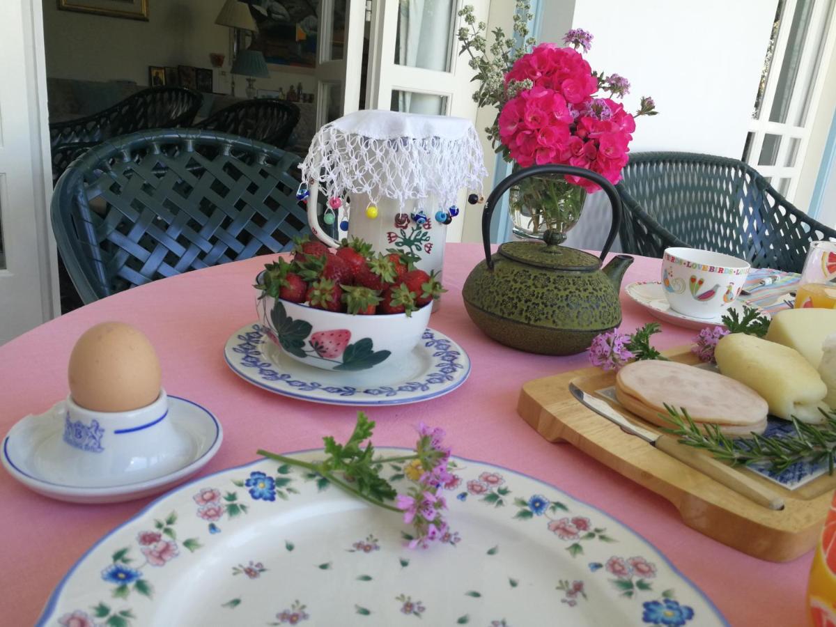 فندق نيقوسيافي  Sunny Garden Studio المظهر الخارجي الصورة